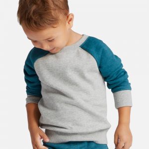 Toddler Boys' Sweatshirts - Heather GrayBlue