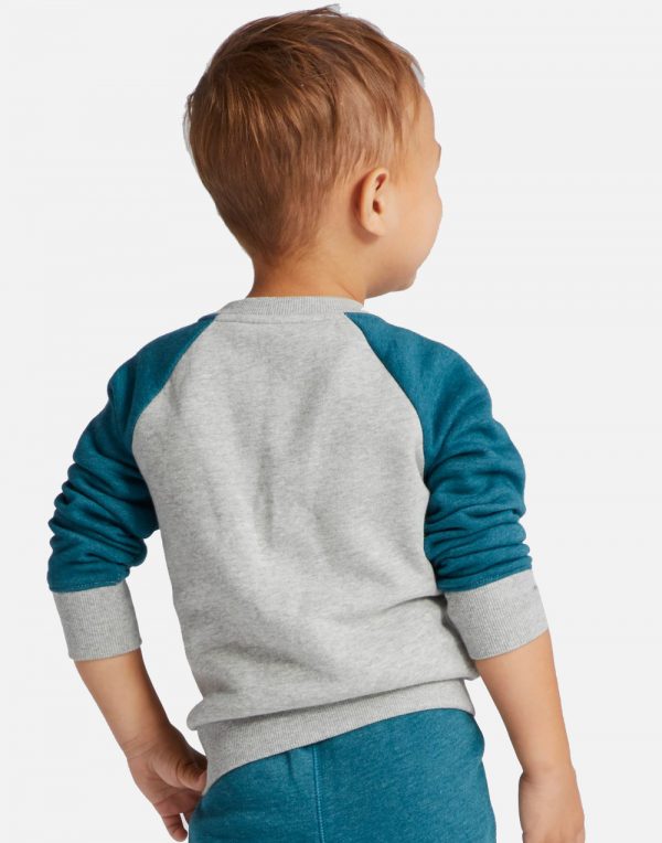 Toddler Boys' Sweatshirts - Heather GrayBlue
