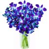 KaBloom Exotic Blue Sapphire Orchid Bouquet of 10 Fresh Blue Dendrobium Orchids from Thailand with Vase