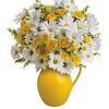 Teleflora’s Sunny Day Pitcher of Daisies