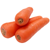 Carrot – Orange