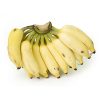 Fresho Banana – Yelakki
