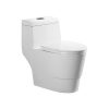 Dual Flush Elongated One Piece Toilet with Soft Closing Seat