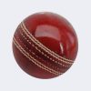 Endlessly 1 Cricket Leather Ball  (Pack of 1, Red)