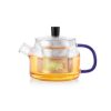Bonito Glass Teapot with Steel Infuser